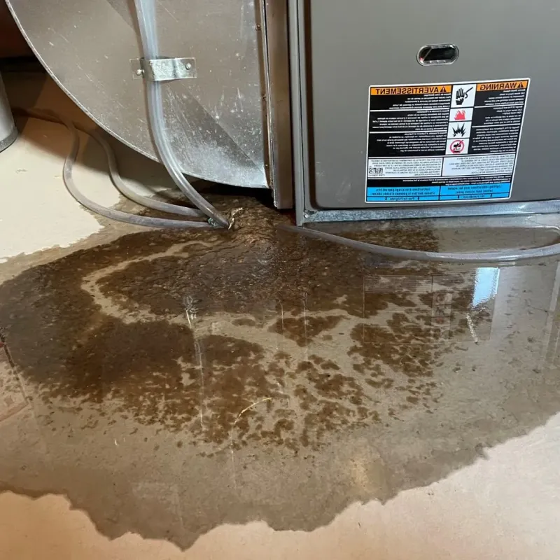Pipe Burst and Leak Restoration in Flippin, AR